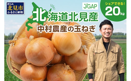 【予約：2026年10月から順次発送】北海道北見産 玉ねぎ 20kg ( 玉ねぎ 野菜 たまねぎ タマネギ 玉葱 甘い 20キロ ハンバーグ 肉じゃが ふるさと納税 玉ねぎ )【002-0005-2026】