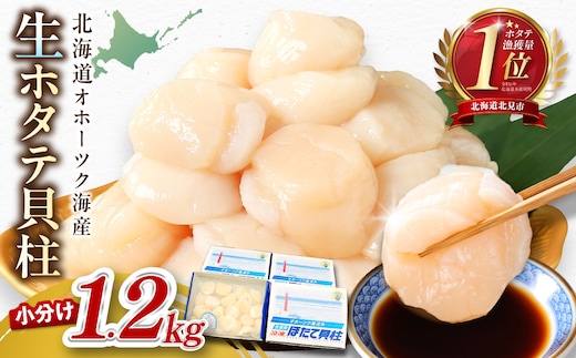 【予約：2026年6月から順次発送】北海道オホーツク海産 ホタテ貝柱 1.2kg 生食用 ( 海鮮 魚介 魚介類 貝 ほたて 刺身 貝柱 海鮮丼 贈答 ギフト 小分け 帆立貝柱 人気 ふるさと納税 ホタテ )【037-0021】