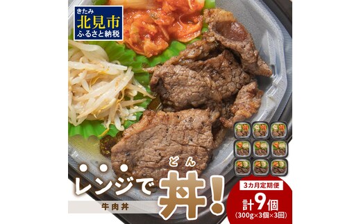【3ヶ月定期便】レンジで丼！牛肉丼定期便 ( 牛肉 弁当 総菜 冷凍 簡単調理 サガリ カルビ ニノウデ )【999-0164】