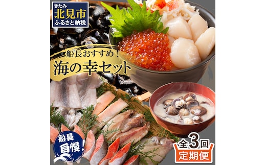 【3ヶ月定期便】船長おすすめ！海の幸セット ( ほたて ホタテ 海鮮丼 ほっけ 鮭 いか サーモン しじみ 定期便 魚介 )【999-0195】