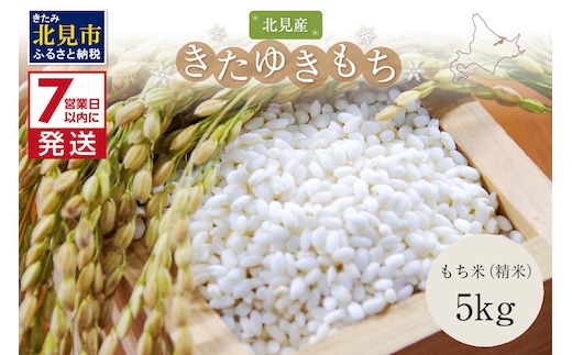 《7営業日以内に発送》令和7年産 北海道産きたゆきもち 精白米 5kg ( 米 お米 モチ米 もち米 赤飯 ぼたもち おはぎ おこわ 美味しい 北海道 )【080-0095】