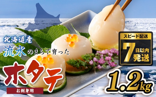網走前浜産 無添加ホタテ貝柱【 1.2kg (300g×4) 】 ABAI031