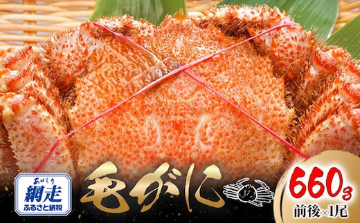 網走産 毛がに660g前後×1尾 ABW106