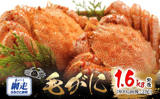 網走産 毛がに1.6kg前後（800g前後×2尾） ABW109