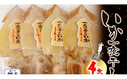 いか一夜干し 4枚 中サイズ ABW113