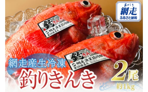 【先行予約】網走産生冷凍釣きんき【2尾で約1kg】（2026年4月中旬頃～11月下旬頃発送） ABAO073