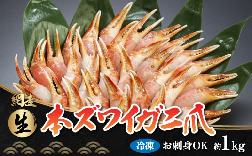 お刺身も出来る！生冷凍ズワイガニ爪 約1kg（北海道・ロシア・アメリカ産） ABB013