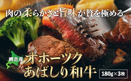 ＜網走産＞オホーツクあばしり和牛 ABM007