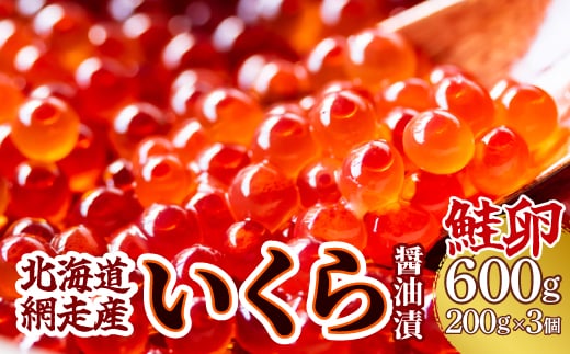 ＜網走産＞いくら醤油漬(鮭卵)600g（200g×3） ABW014