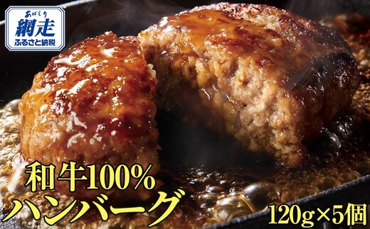 ＜網走産＞【オホーツクあばしり和牛】ハンバーグ・総重量 600g（120g×5個） ABW016