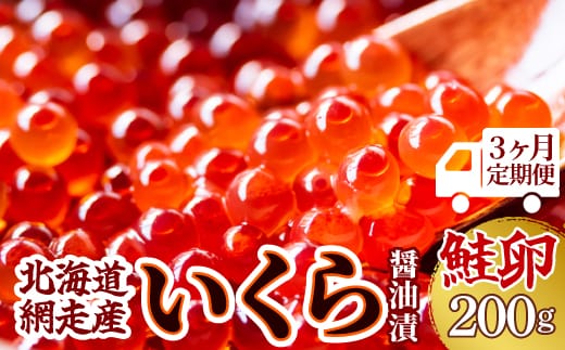 【3ヶ月定期便】＜網走産＞いくら醤油漬(鮭卵)200g（200g×1） ABW017