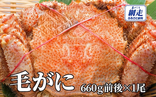網走産 毛がに660g前後×1尾 ABW106