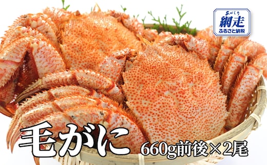 網走産 毛がに1.32kg前後（660g前後×2尾） ABW107