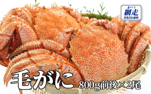 網走産 毛がに1.6kg前後（800g前後×2尾） ABW109