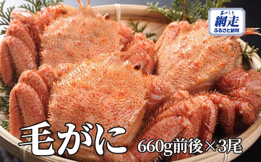 網走産 毛がに1.98kg前後（660g前後×3尾） ABW110