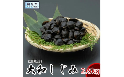 網走湖産 天然大粒 大和しじみ 2.5kg ※着日指定不可 ABX033