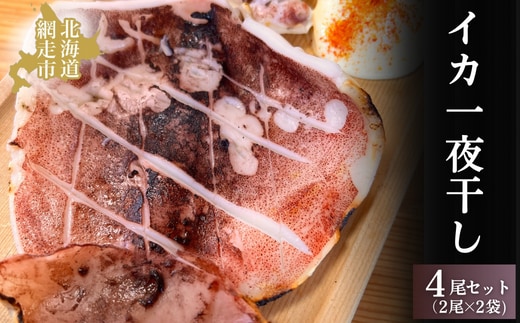 炉端で人気のイカ一夜干し4尾セット ABAO2195
