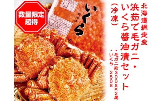 【数量限定】「浜茹で毛ガニ・イクラ醤油漬セット」冷凍（網走加工） ABC007
