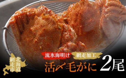 【先行予約】流氷海明け活〆毛がに2尾（冷蔵便）【2026年4月中旬～発送開始予定】（網走加工） ABAO2129