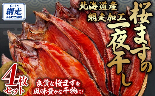 桜ます一夜干し大サイズ4枚セット（網走加工） ABB143