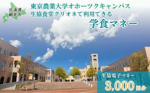 東京農業大学オホーツクキャンパス生協食堂クリオネで利用できる「学食マネー」 3,000円分 ABBF001