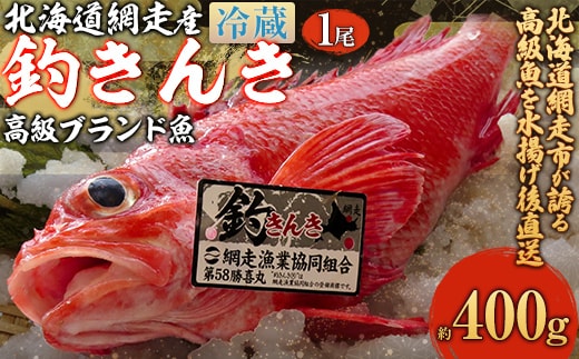 【先行予約】【網走産】高級ブランド釣きんき 1尾【冷蔵】（2025年5月15日より順次発送） ABJ016