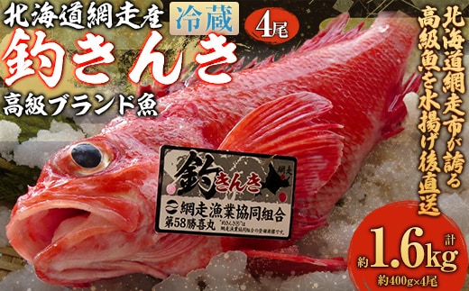 【先行予約】【網走産】高級ブランド釣きんき 4尾【冷蔵】（2025年5月15日より順次発送） ABJ018