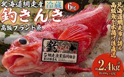 【先行予約】【網走産】高級ブランド釣きんき 6尾【冷蔵】（2025年5月15日より順次発送） ABJ019