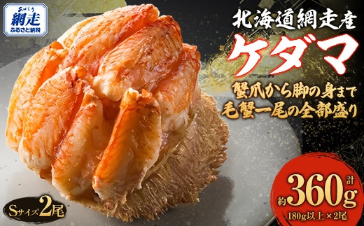 【先行予約】ケダマ × Sサイズ2尾入（2025年4月30日より順次発送） ABJ022