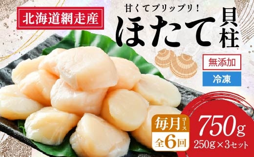【2026年新物先行予約 全6回（毎月）】網走前浜産 無添加ホタテ貝柱750g（250g×3袋）（2026年6月15日より順次発送） ABAI035