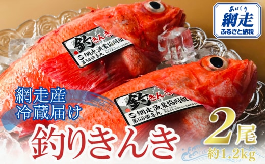 【先行予約】【冷蔵届け】網走産釣きんき【2尾で約1.2kg】（2026年4月中旬頃～11月下旬頃発送） ABAO074