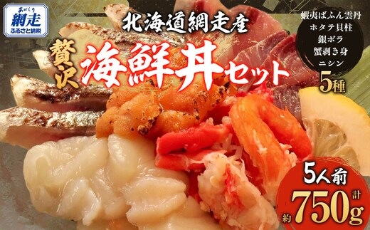 贅沢 網走海鮮丼セット「5人前」 ABJ023