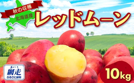 【先行予約】秋の収穫美味レッドムーンじゃがいも 10kg（2026年9月15日以降発送） ABAO071
