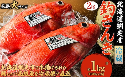 【先行予約】【冷蔵届け】網走産釣りキンキ【2尾で約1kg】（2026年4月中旬頃～11月下旬頃発送） ABAO116