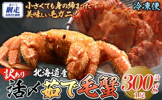 【訳あり】活〆茹で毛蟹1尾 約300g ABAO2199