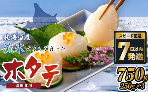 網走前浜産 無添加ホタテ貝柱【 750g (250g×3) 】 ABAI032
