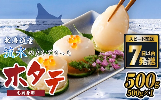 網走前浜産 無添加ホタテ貝柱【 500g (500g×1) 】 ABAI038