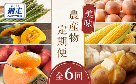 【定期便6回】網走美味農産物定期便「年6回お届け」（網走加工） ABAO1026