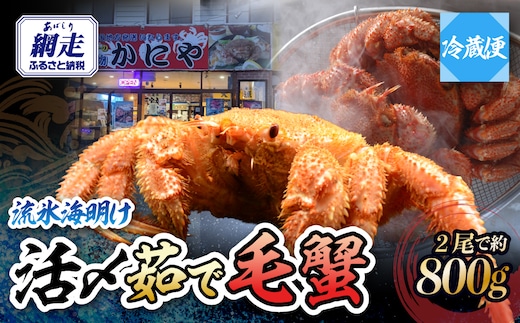 【先行予約】流氷海明け・活〆茹で毛蟹2尾で約800g冷蔵便届け【2027年4月～順次発送開始予定】 ABAO111