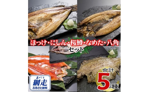 網走加工の一夜干しセット 5種B ABE122