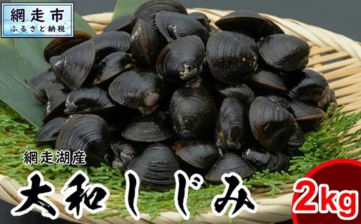 網走湖産 天然大粒 大和しじみ 2.0kg ※着日指定不可 ABX073