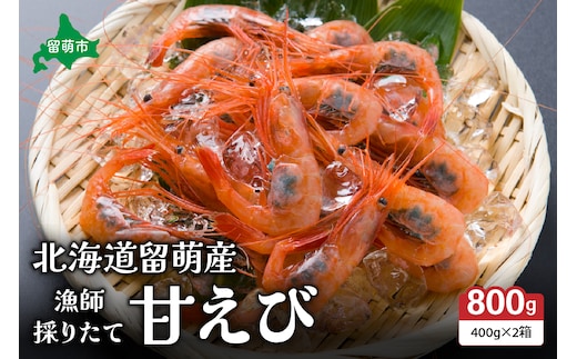 北海道留萌産 漁師採りたて甘えび400g×2箱
