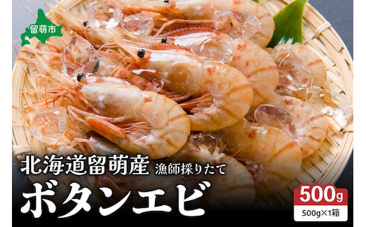 【年内配送 年内発送 北海道】北海道留萌産 漁師採りたてボタンエビ500g R006-013