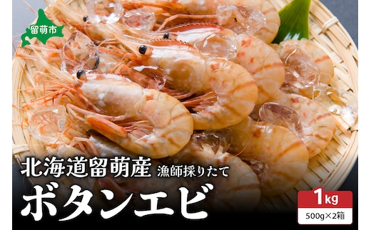 【漁師採りたて 留萌産】ボタンエビ 500ｇ×2 R006-019