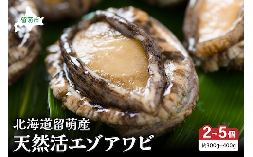 日時指定不可【産地直送】北海道留萌産天然活エゾアワビ3～5個