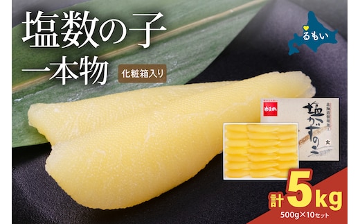 塩数の子 （化粧箱入） 1本物 500g×10セット (計5kg) 塩かずのこ 一本物 本ちゃん ギフト おせち お正月 贈答用 R001-113