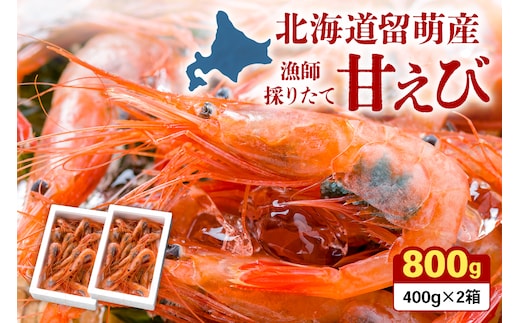 北海道留萌産 漁師採りたて甘えび400g×2箱