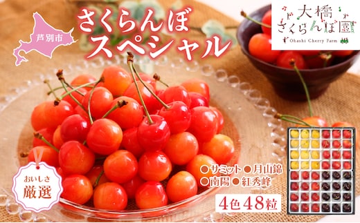 【 先行受付 】さくらんぼ 厳選 さくらんぼスペシャル 4色 48粒 大橋さくらんぼ園 化粧箱入り ギフト お中元 贈り物 サミット 月山錦 南陽 紅秀峰 サクランボ チェリー 果物 果物類 フルーツ デザート 北海道 芦別市