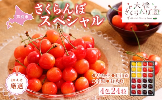 【 先行受付 】さくらんぼ 厳選 さくらんぼスペシャル 4色 24粒 大橋さくらんぼ園 化粧箱入り ギフト お中元 贈り物 サミット 月山錦 南陽 紅秀峰 サクランボ チェリー 果物 果物類 フルーツ デザート 北海道 芦別市