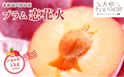 【 先行受付 】 プラム 恋花火 1kg フルーツ 果物 くだもの 旬のフルーツ 旬の果物 季節のフルーツ 季節の果物 北海道 芦別市